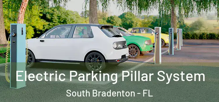 Electric Parking Pillar System South Bradenton - FL