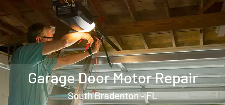  Garage Door Motor Repair South Bradenton - FL