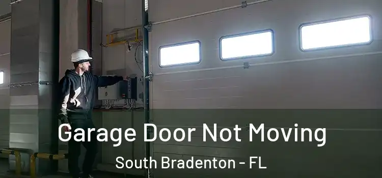  Garage Door Not Moving South Bradenton - FL