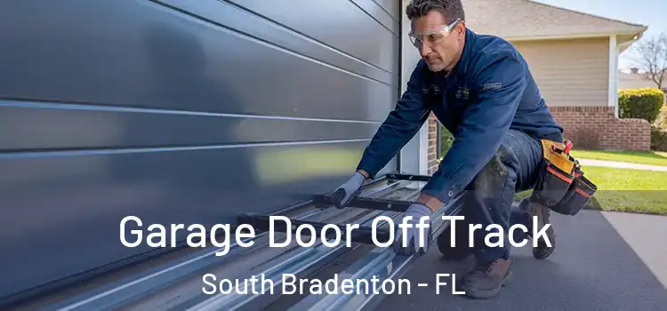  Garage Door Off Track South Bradenton - FL