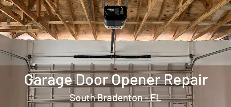  Garage Door Opener Repair South Bradenton - FL