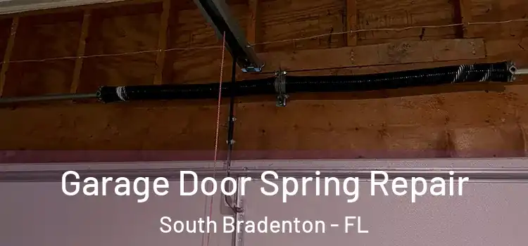  Garage Door Spring Repair South Bradenton - FL