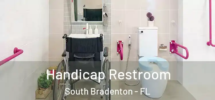  Handicap Restroom South Bradenton - FL
