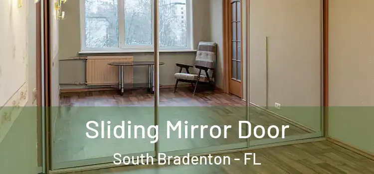 Sliding Mirror Door South Bradenton - FL